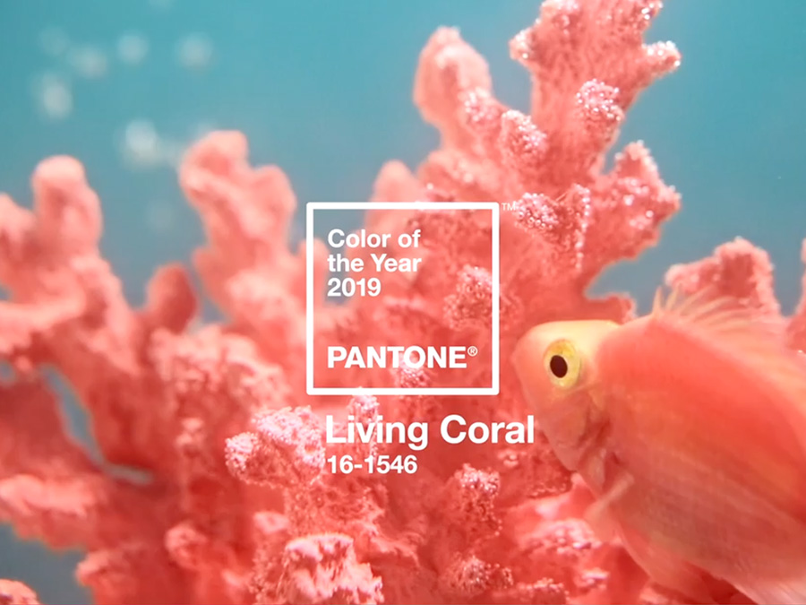 2019年のカラーオブザイヤー「Living Coral」
