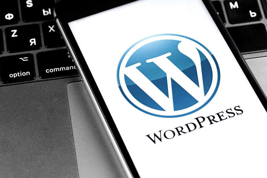 Wordpressのセキュリティが弱いといわれる理由