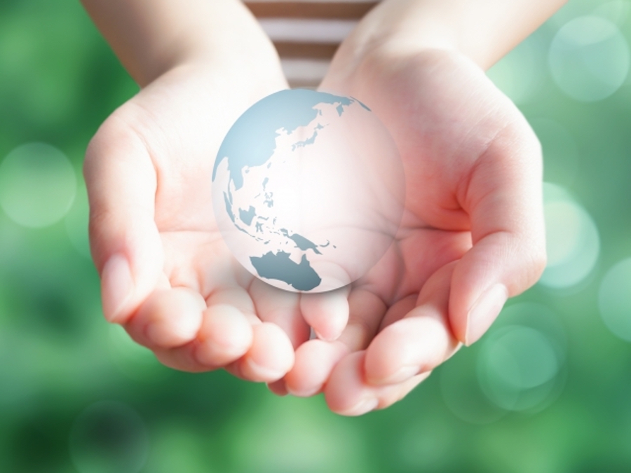 フードロス（食品ロス）問題への政府の対策