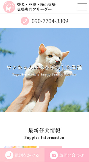 シバ屋 様